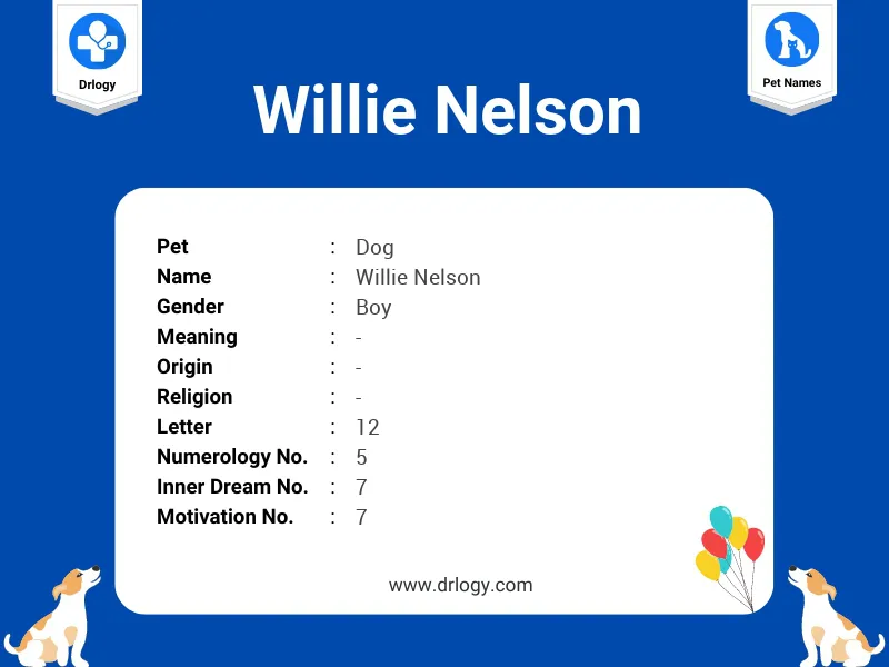 Willie Nelson Name Meaning